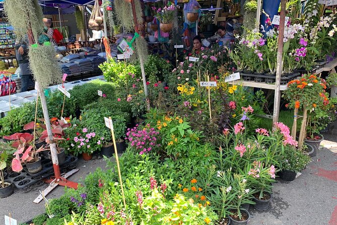 Private Exclusive Guided Chatuchak Weekend Market Shopping Tour - What the private format really gives you