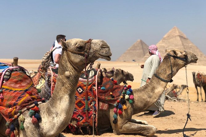 Private Full-Day Giza Pramids, Sphinx, Egyptian Museum& Bazaars From Cairo - The Sphinx and Valley Temple in 45 minutes