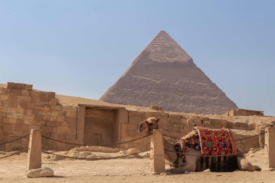 Private Giza Pyramids , Museum, Citadel and Cairo Bazaar - Muhammad Ali Mosque at the Citadel