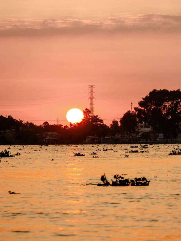 Private Half Day Tour - Cái Răng Floating Market - Key points to know before booking