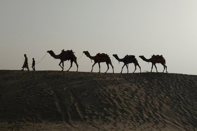 Private Heritage Walking Tour in Jaisalmer Fort and Old Bazaar - Why Jaisalmer Fort works best on foot