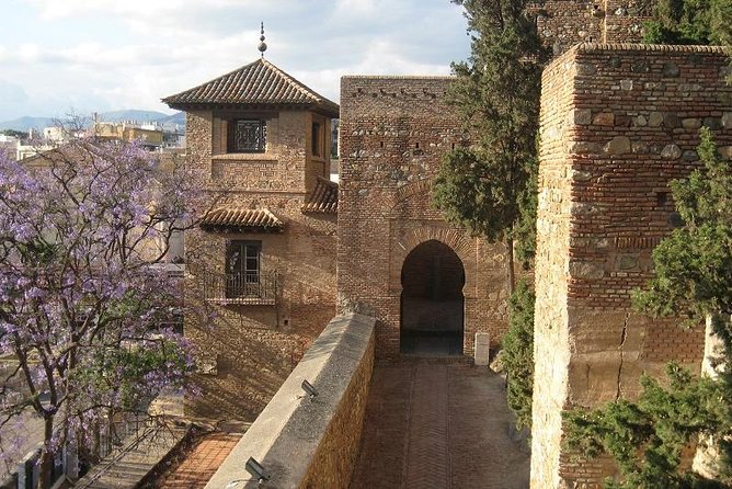 Private Malaga: Alcazaba, Museum, Market, Cathedral & Picasso - Museo de Malaga and Its Archaeological Collection