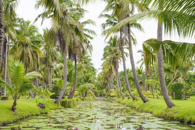 Private Tour: Floating Markets and Suan Sampran Day Trip from Bangkok - Who should book this experience?
