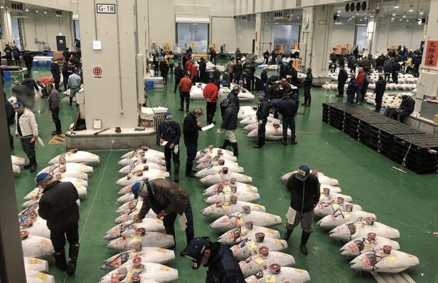 Private Toyosu & Tsukiji Market Adventure with Tuna Auction - Toyosu beyond the tuna