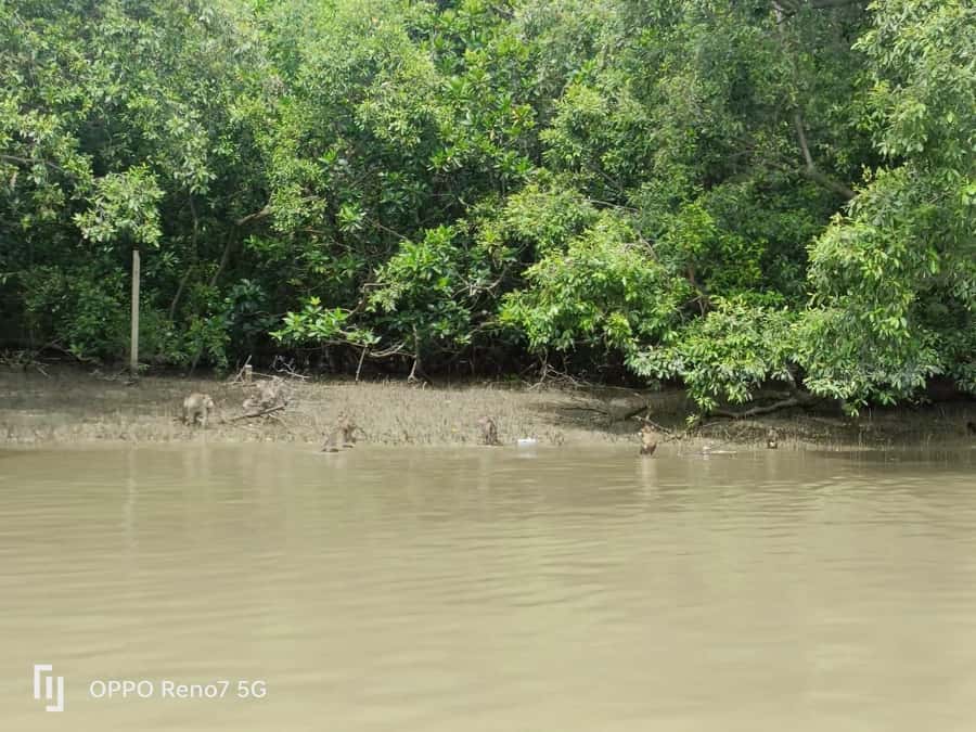 Private Unseen Mangrove Forest and Floating & Railway Market - Key points to know before booking