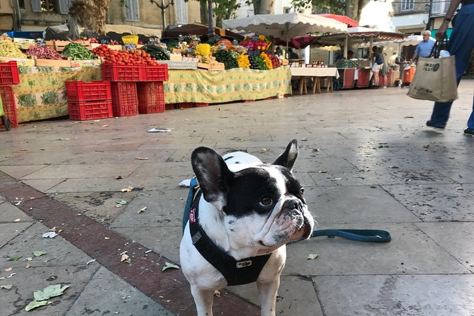 Provençal Farmers market tour - Tasting bread, cheese, produce, and fish