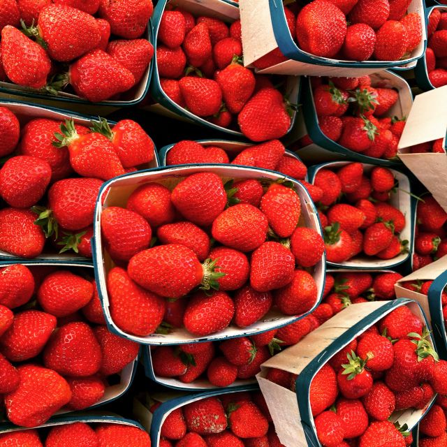 Provencal Market Walking Tour with Tastings - Best timing, market days, and practical planning
