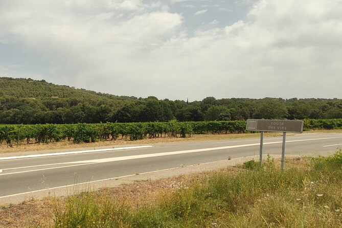 Provençal Morning Farmers Market & Food Discovery Tour - Why the 75-minute format works, and where it falls short