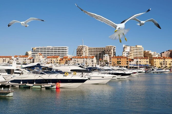 Quarteira Town & Gypsy Market Tour with Beach Bliss - Key points at a glance