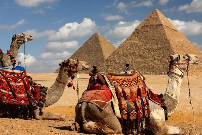 Quick Cairo Layover to Giza Pyramids, Museum, Bazaar from Airport - Why the private vehicle makes this tour work