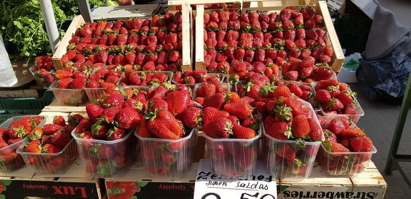 Riga: Central Market Latvian Food Tour - Is $53 good value?