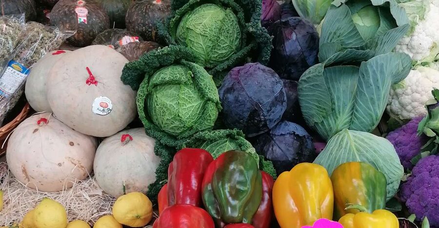 Rome: Guided Testaccio Market Food Tour with Tastings - Meeting in Piazza Testaccio
