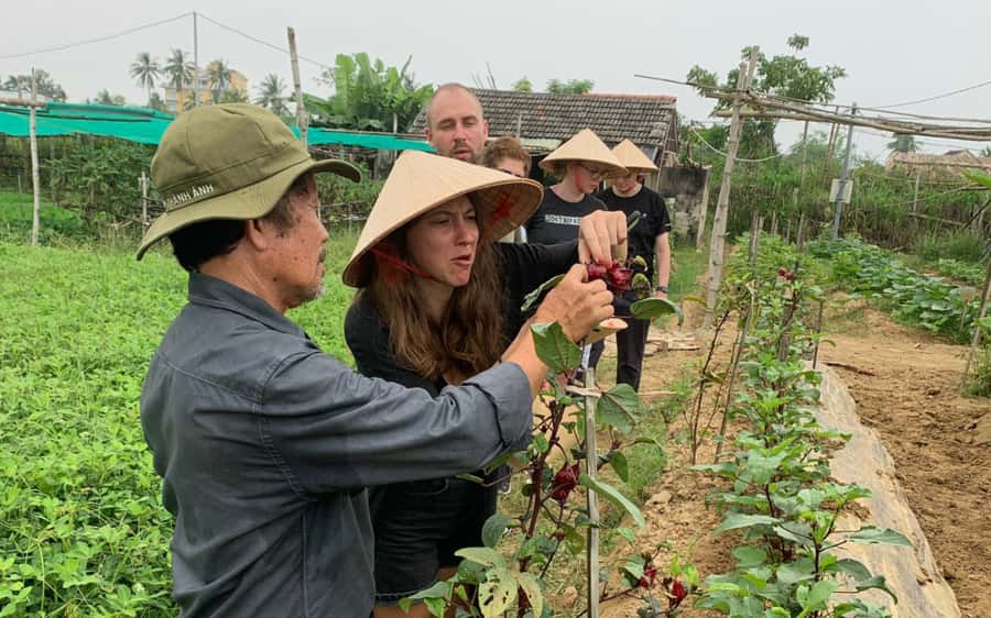 Rural Cycle, Market Tour, Basket Boat & Organic Farm Cooking - Key points at a glance