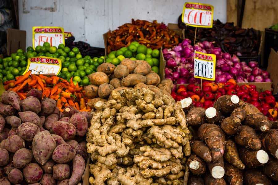 Santiago: Markets Bike Tour - La Chascona and the story of Pablo Neruda