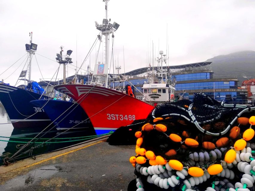 Santoña: Anchovy Art Gallery with Fishing Port and Market - Is $20 a fair price?