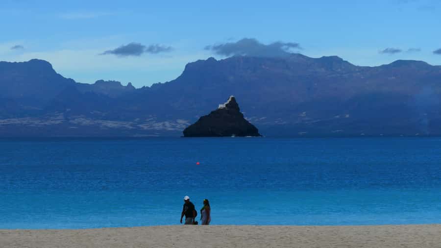 São Vicente: Markets, Beaches and Natural Park Tour - Key points to know before booking