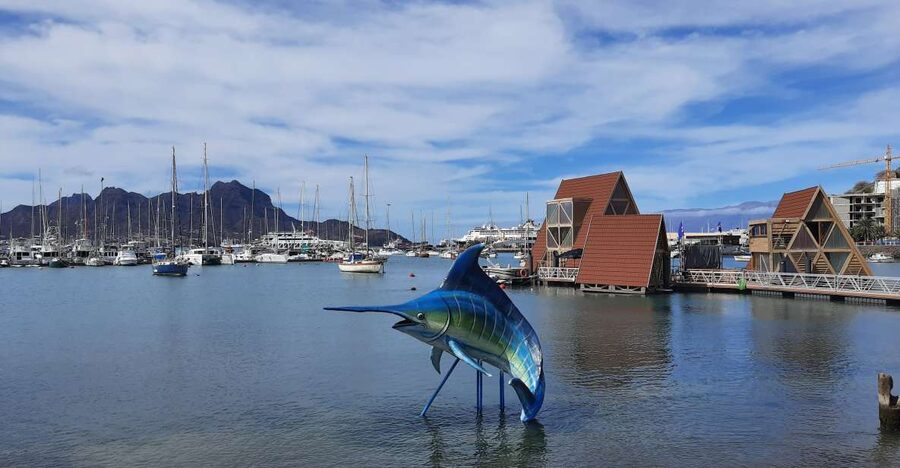 São Vicente: Markets, Beaches and Natural Park Tour - What $82 includes, and where the value lies