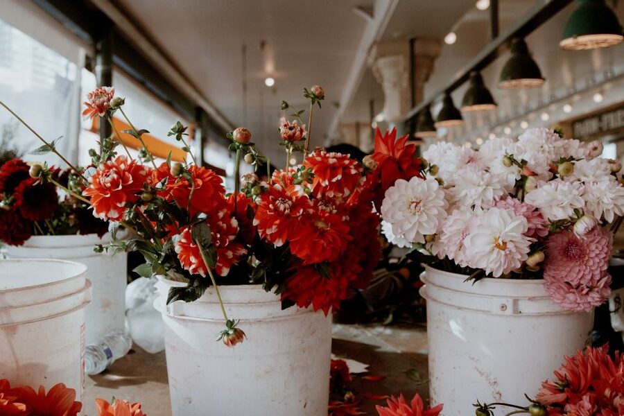 Seattle: Early-Bird Tasting Tour of Pike Place Market - Why families may enjoy the route