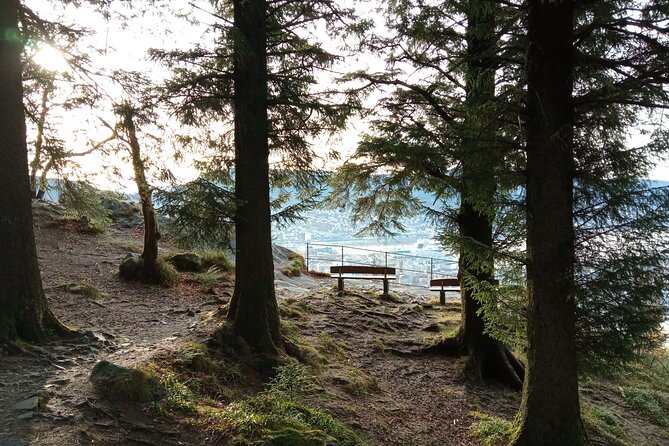 Self-Guided Hike from Bergen's Fish Market up Mount Fløyen - Learning about the Fløibanen before walking uphill