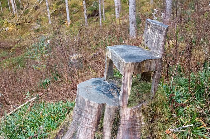 Self-Guided Hike from Bergen's Fish Market up Mount Fløyen - Why the $9.99 price can make sense