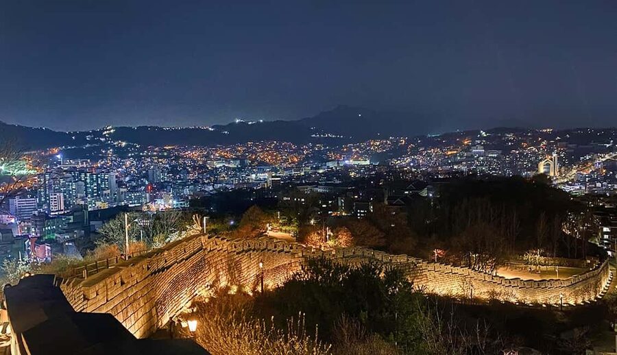 Seoul Day Tour: Gyeongbok Palace, Bukchon, Gwangjang Market - How the $41 price measures up