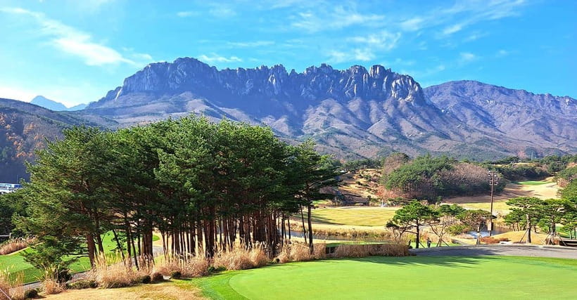 Seoul: Mt.Seorak(+CableCar Option)+Sokcho Fish Market&Beach - Is $68 good value?