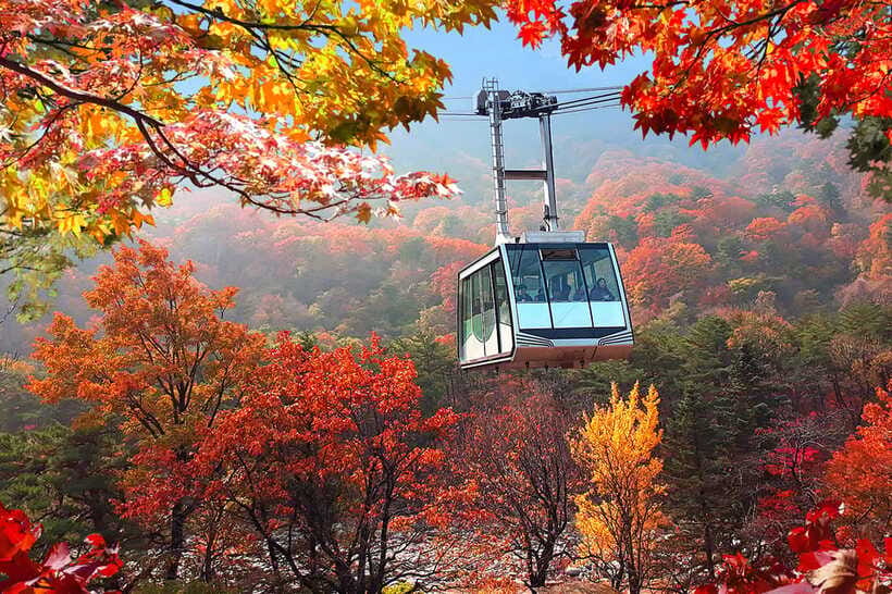 Seoul: Mt.Seorak(+CableCar Option)+Sokcho Fish Market&Beach - What the guides add to the day