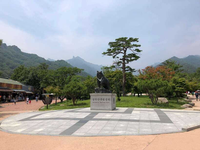 Seoul: Mt.Seorak(+CableCar Option)+Sokcho Fish Market&Beach - The hiking matters more than the photo stops