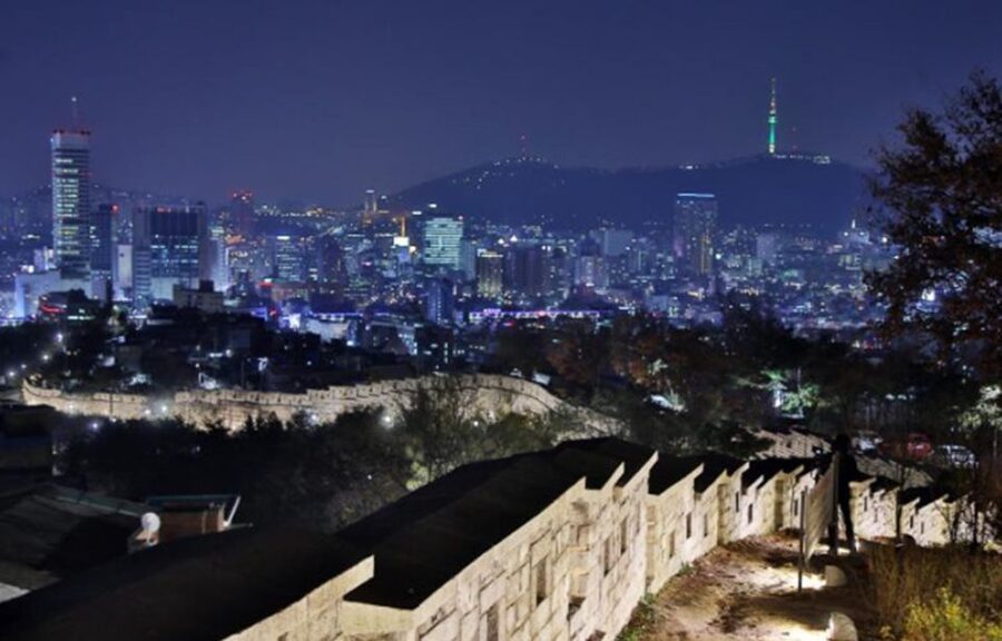 Seoul: Nighttime Tour of Palace, Market, Naksan Park & More - Who should book this Seoul night tour?