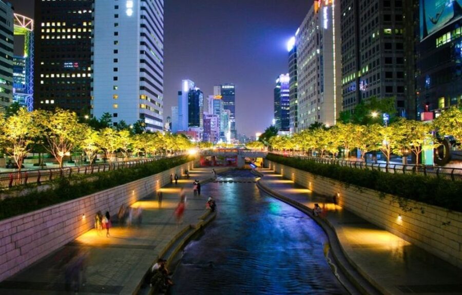 Seoul: Nighttime Tour of Palace, Market, Naksan Park & More - Gwangjang Market: dinner, snacks, and everyday Seoul