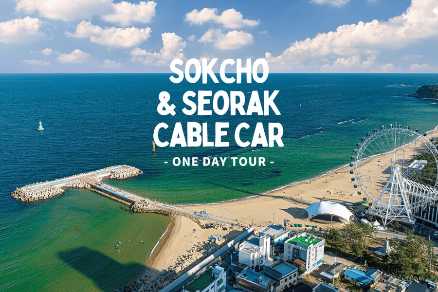 Seoul: Sokcho beach, market, hot spring and Seorak Cable Car - Eating Your Way Through Sokcho Tourist & Fishery Market
