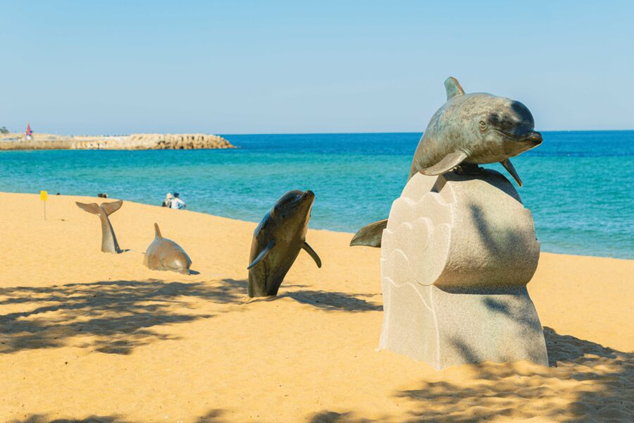 Seoul: Sokcho beach, market, hot spring and Seorak Cable Car - Who Will Like This Tour Most?