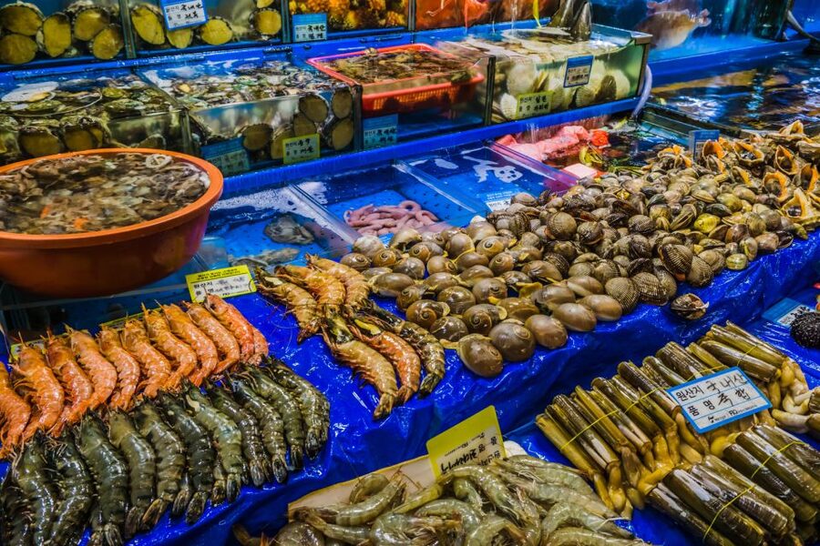 Seoul: The Biggest Sea-food Noryangjin Market Tour - Key points at a glance