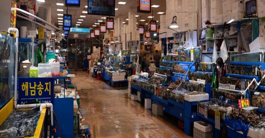 Seoul: The Biggest Sea-food Noryangjin Market Tour - Is $110 a fair price?