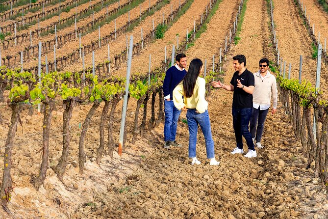 Setúbal: Winery & Fish Market Tasting Tour from Lisbon - Crossing the bridge from Lisbon to Setúbal