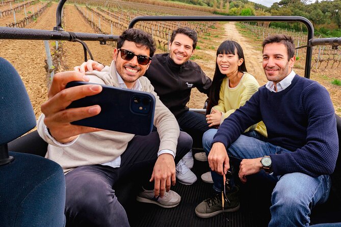 Setúbal: Winery & Fish Market Tasting Tour from Lisbon - Setúbal’s convent, old center, and castle views