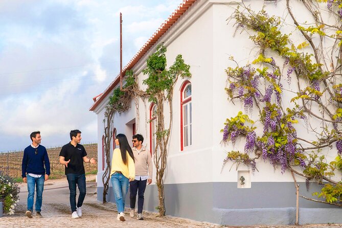 Setúbal: Winery & Fish Market Tasting Tour from Lisbon - Timing, group size, and practical details