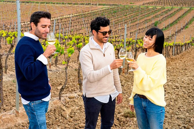 Setúbal: Winery & Fish Market Tasting Tour from Lisbon - Palácio da Bacalhôa and the story behind the wine