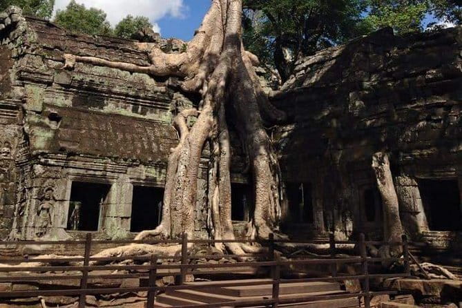 Siem Reap Morning Market & Food Tour by Tuk Tuk - What the $40 price includes