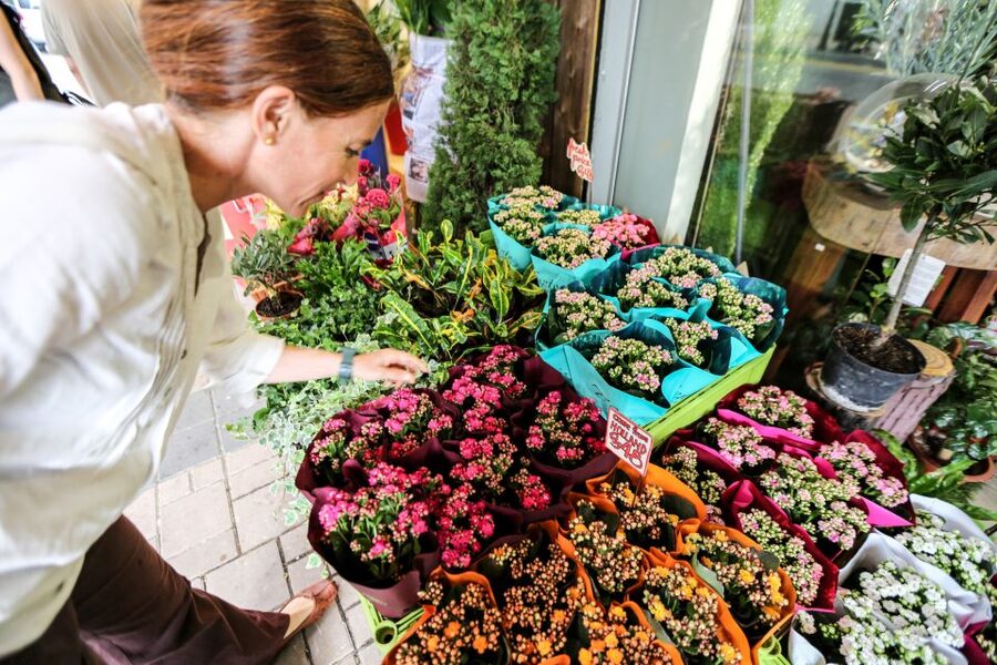 Small-group Kowloon Markets Walking Tour - Starting at the Flower Market in Mong Kok