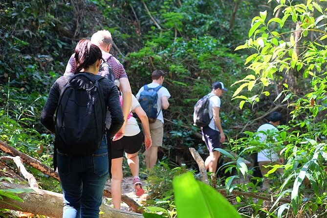 Small Group : Trekking Trip in Chiang Mai (Doi Suthep Area) with Market Tour - From Morning Fresh Market to the mountain