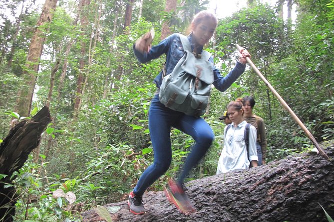 Small Group : Trekking Trip in Chiang Mai (Doi Suthep Area) with Market Tour - Doi Suthep Temple adds a cultural stop
