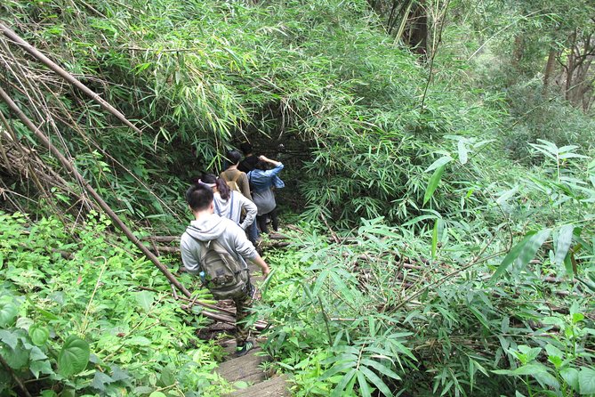 Small Group : Trekking Trip in Chiang Mai (Doi Suthep Area) with Market Tour - What the $62.91 price covers