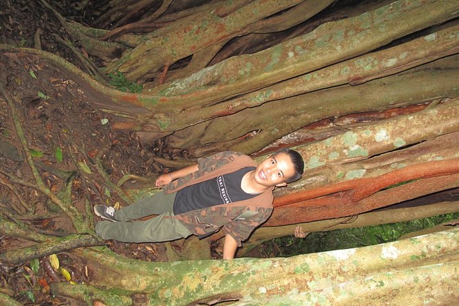 Small Group : Trekking Trip in Chiang Mai (Doi Suthep Area) with Market Tour - Who should choose this Doi Suthep outing?