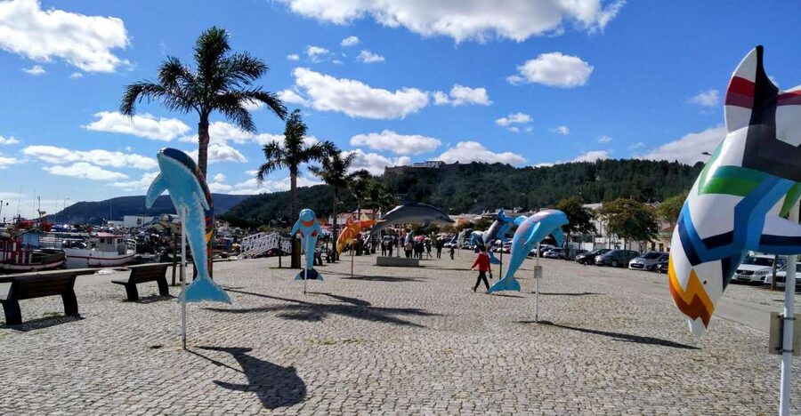 South of Lisbon: Local Market & Canned Sardines Factory Tour - Who will enjoy this Setúbal experience most?