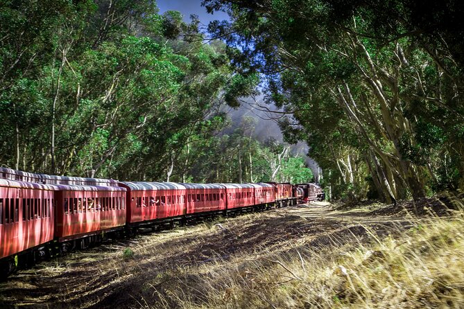 Steam Train to Elgin Railway Market - Two hours at Elgin Railway Market