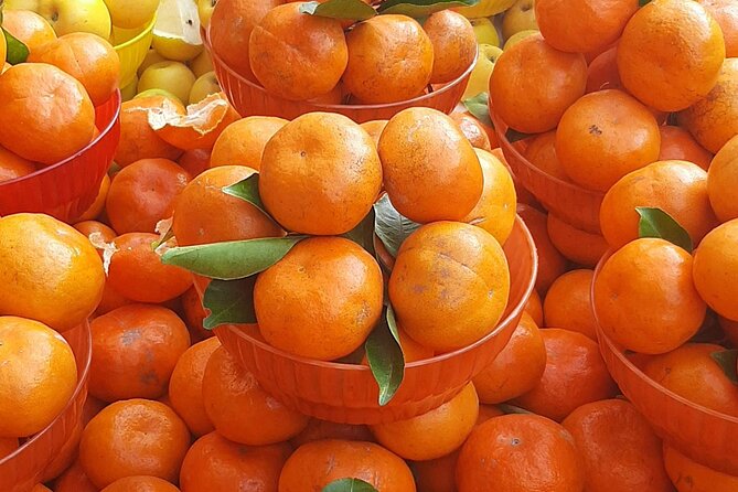 Steps Full of Flavor, Cancun Foodie & Market Tour - The guides and the tone of the experience
