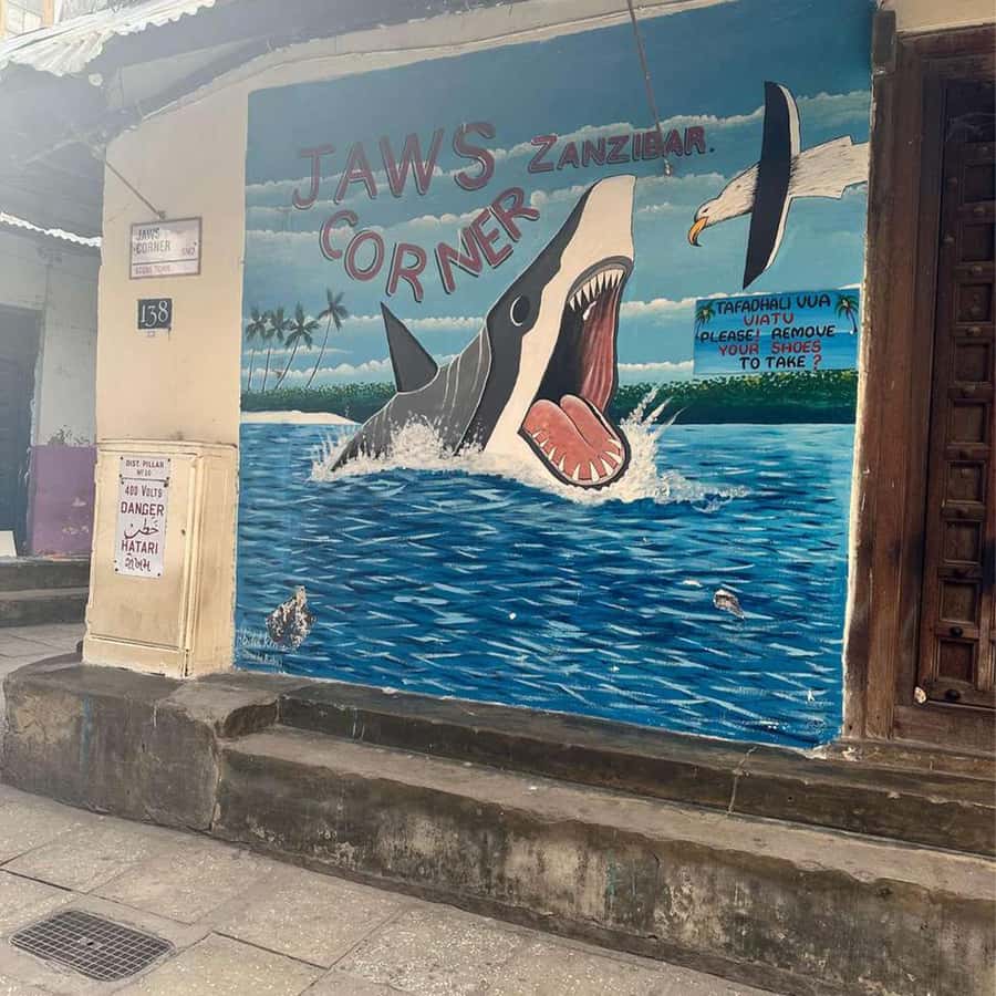 Stone Town Guided Tour: Culture, Slave Market & Spice Market - Key points at a glance