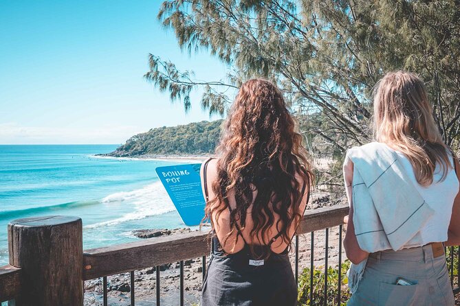 Sunshine Coast Hinterland and Noosa Day Trip from Brisbane Incl Eumundi Markets - What the guides add to the journey