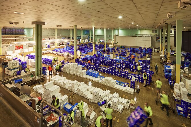 Sydney Fish Market Behind the Scenes Tour - Key points before you book